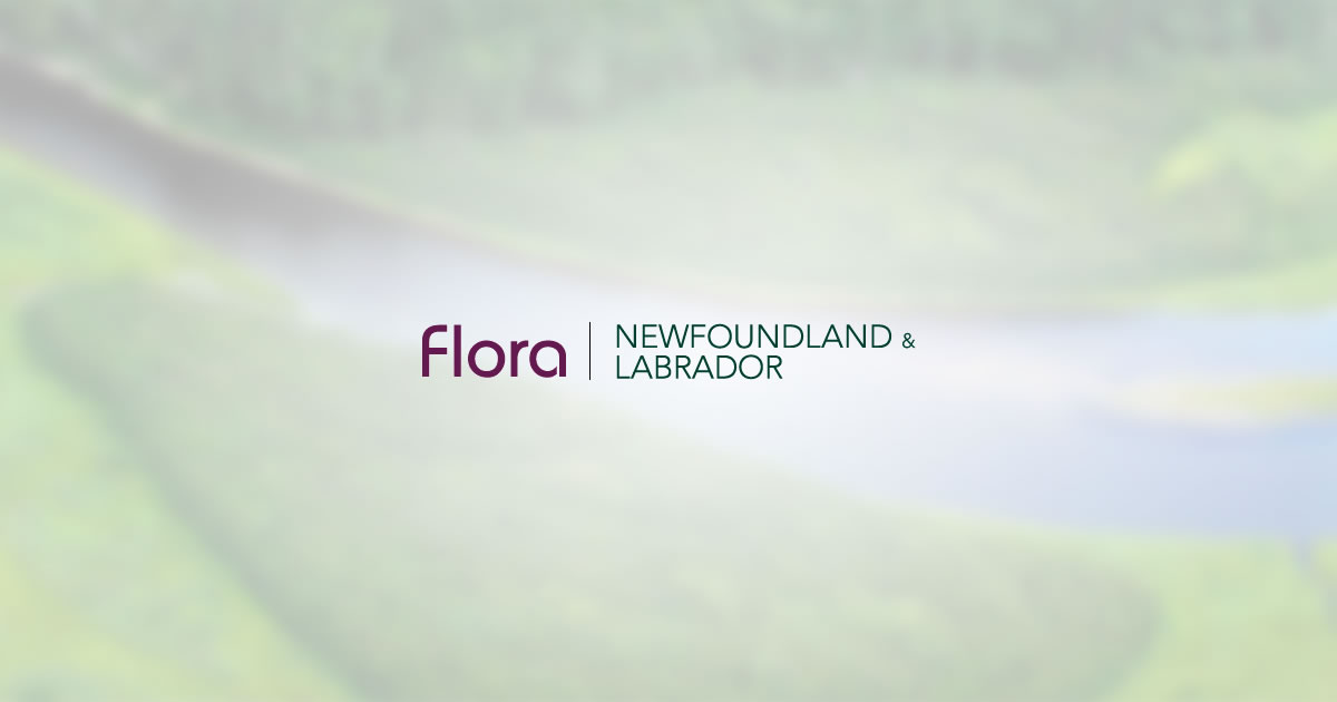 newfoundland-labradorflora.ca
